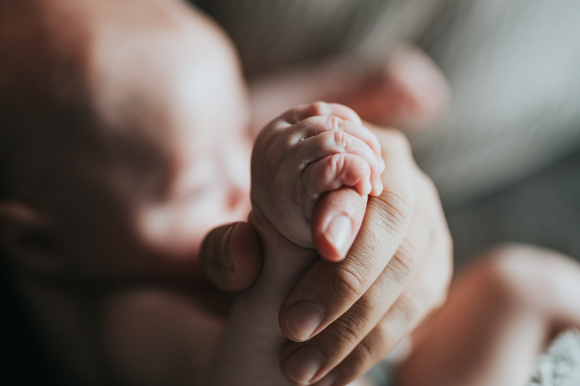 Midwife, childcare worker or early educator? What to choose based on your child's age